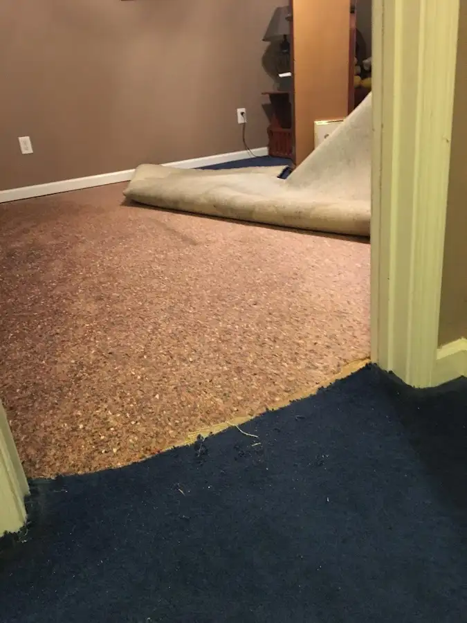 Carpet pad removal revealing water damage during Water Mitigation Services in Kirkland