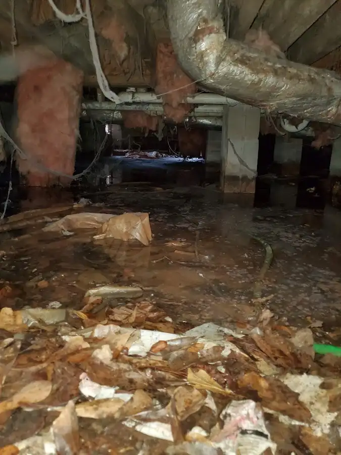 Crawl space flood assessment for Leak Detection & Repair in Kirkland