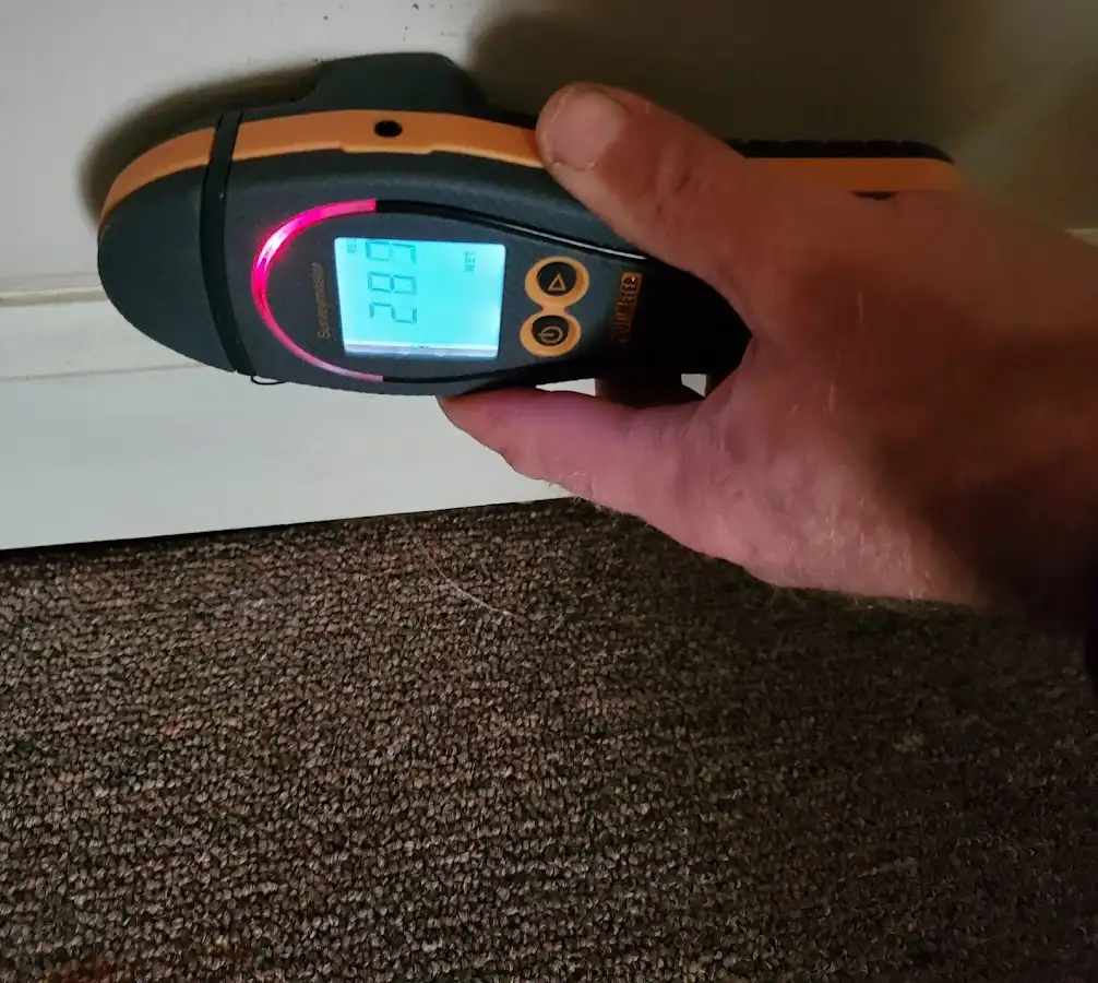 Moisture detection at baseboard during Burst Pipe Cleanup in Kirkland