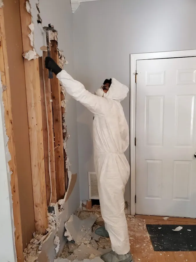 Water Damage Restoration services in Kirkland, WA